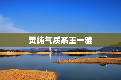 灵纯气质系王一雅