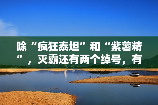 除“疯狂泰坦”和“紫薯精”，灭霸还有两个绰号，有谁知道？