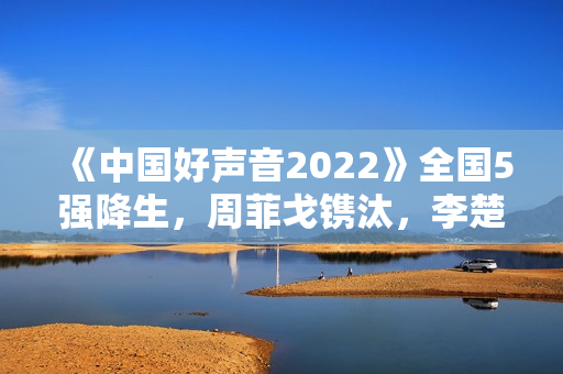 《中国好声音2022》全国5强降生，周菲戈镌汰，李楚楚升级难服众