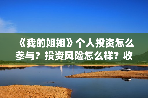《我的姐姐》个人投资怎么参与？投资风险怎么样？收益空间怎么样？(《我的姐姐》百度百科)