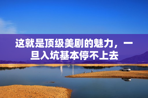 这就是顶级美剧的魅力，一旦入坑基本停不上去