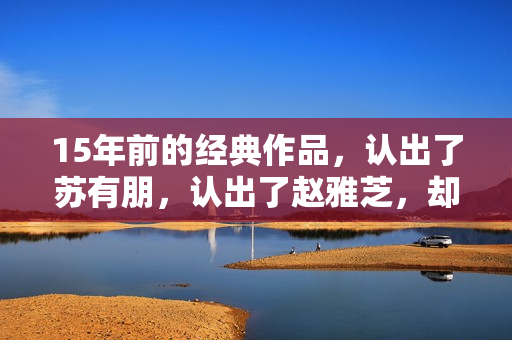 15年前的经典作品，认出了苏有朋，认出了赵雅芝，却没认出贾乃亮