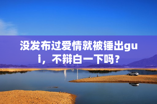 没发布过爱情就被锤出gui，不辩白一下吗？