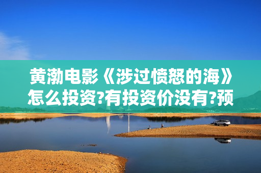 黄渤电影《涉过愤怒的海》怎么投资?有投资价没有?预估收益? 黄渤电影《涉过愤怒的海》怎么投资?有投资价没有?预估收益?