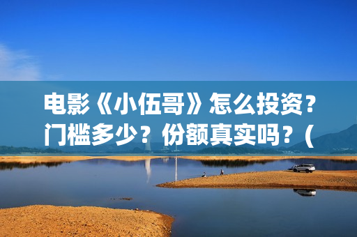 电影《小伍哥》怎么投资？门槛多少？份额真实吗？(小伍哥在线观看)