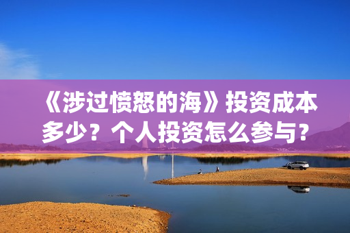 《涉过愤怒的海》投资成本多少？个人投资怎么参与？风险高吗？(涉过愤怒的海事件原型)