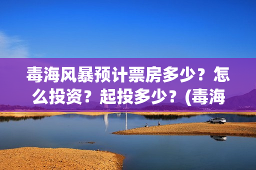 毒海风暴预计票房多少？怎么投资？起投多少？(毒海风暴开机了吗)