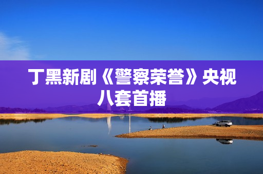 丁黑新剧《警察荣誉》央视八套首播