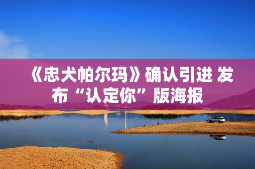 《忠犬帕尔玛》确认引进 发布“认定你”版海报 《忠犬帕尔玛》确认引进 发布“认定你”版海报