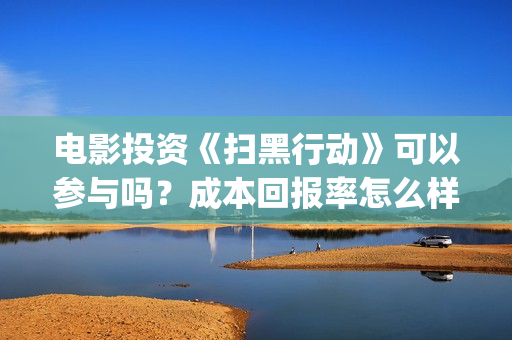 电影投资《扫黑行动》可以参与吗？成本回报率怎么样？是保本的吗？(扫黑这部电影)