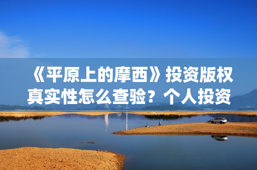 《平原上的摩西》投资版权真实性怎么查验？个人投资规避哪些风险？(平原上的摩西主要讲了什么)