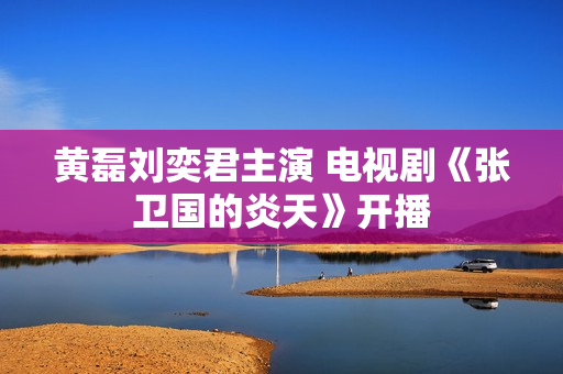 黄磊刘奕君主演 电视剧《张卫国的炎天》开播
