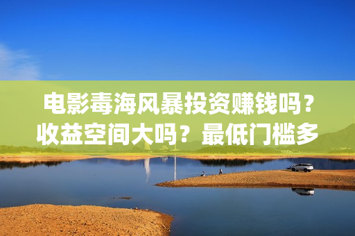 电影毒海风暴投资赚钱吗？收益空间大吗？最低门槛多少？(毒海风暴真实情况)