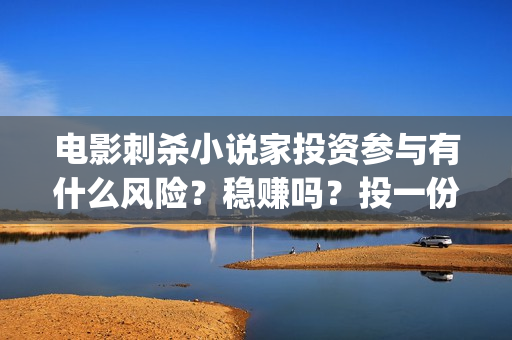 电影刺杀小说家投资参与有什么风险？稳赚吗？投一份什么成本？(电影刺杀小说家的演员表)
