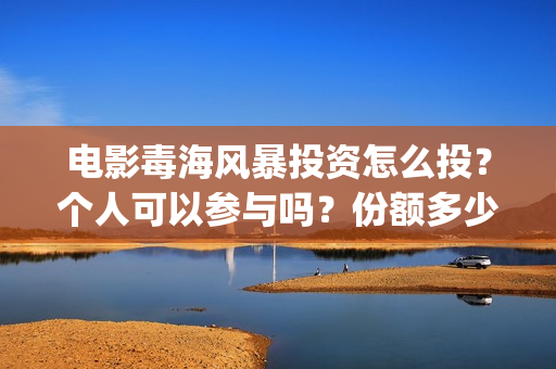 电影毒海风暴投资怎么投？个人可以参与吗？份额多少？(毒海风暴真实情况)