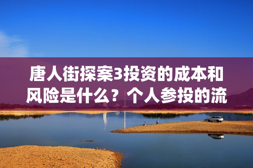 唐人街探案3投资的成本和风险是什么？个人参投的流程是？找哪家公司投？(唐人街探案3投屏播放免费)