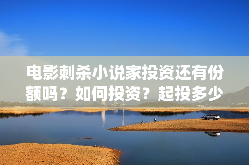 电影刺杀小说家投资还有份额吗？如何投资？起投多少？(电影刺杀小说家剧情简介)