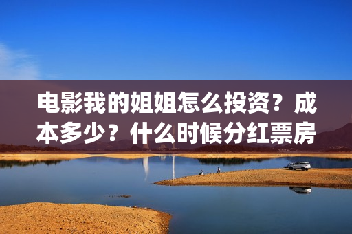 电影我的姐姐怎么投资？成本多少？什么时候分红票房？(我的姐姐标清)