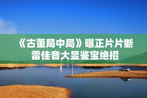 《古董局中局》曝正片片断 雷佳音大显鉴宝绝招