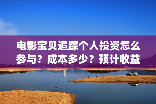 电影宝贝追踪个人投资怎么参与?成本多少?预计收益(宝贝追踪剧情介绍) 电影宝贝追踪个人投资怎么参与?成本多少?预计收益(宝贝追踪剧情介绍)