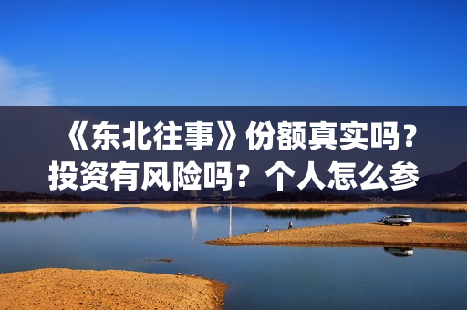 《东北往事》份额真实吗？投资有风险吗？个人怎么参与投资？(东北往事原文)