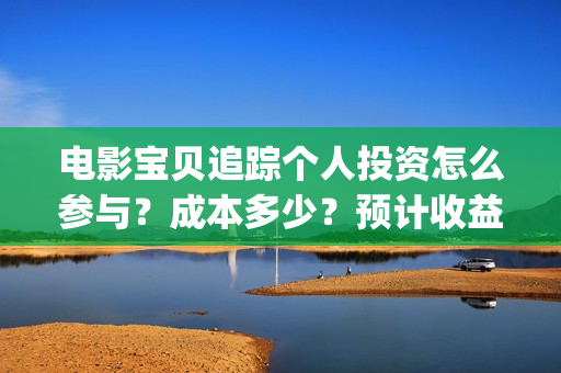 电影宝贝追踪个人投资怎么参与？成本多少？预计收益(宝贝追踪导演)