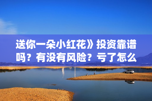送你一朵小红花》投资靠谱吗？有没有风险？亏了怎么办？(送你一朵小红花电影剧情介绍)