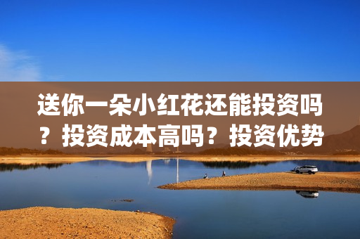 送你一朵小红花还能投资吗？投资成本高吗？投资优势是什么？(送你一朵小红花原唱)