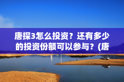唐探3怎么投资？还有多少的投资份额可以参与？(唐探3如何)