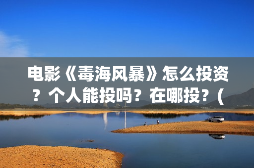 电影《毒海风暴》怎么投资？个人能投吗？在哪投？(毒海风暴有哪几家拍摄)