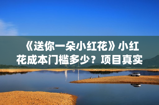  《送你一朵小红花》小红花成本门槛多少？项目真实可靠吗？(送你一朵小红花免费观看完整版)