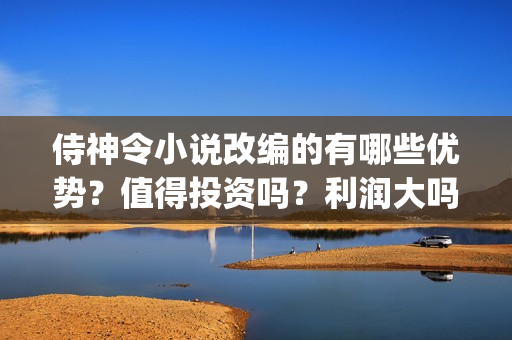 侍神令小说改编的有哪些优势？值得投资吗？利润大吗？(侍神令小说原著)