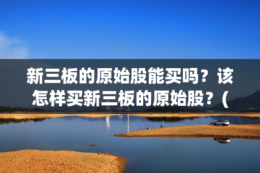新三板的原始股能买吗？该怎样买新三板的原始股？(新三板的原始股可以交易吗)