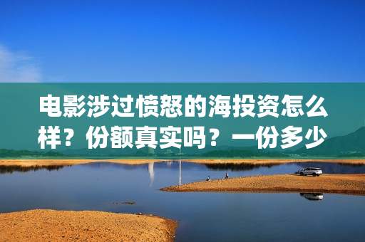 电影涉过愤怒的海投资怎么样？份额真实吗？一份多少钱？(电影涉过愤怒的海讲了什么)