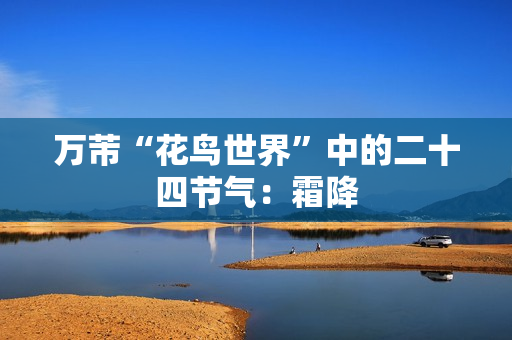 万芾“花鸟世界”中的二十四节气：霜降