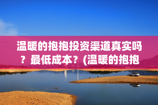 温暖的抱抱投资渠道真实吗？最低成本？(温暖的抱抱总投资)