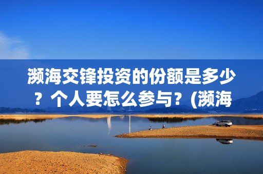 濒海交锋投资的份额是多少？个人要怎么参与？(濒海交锋成本溢价)