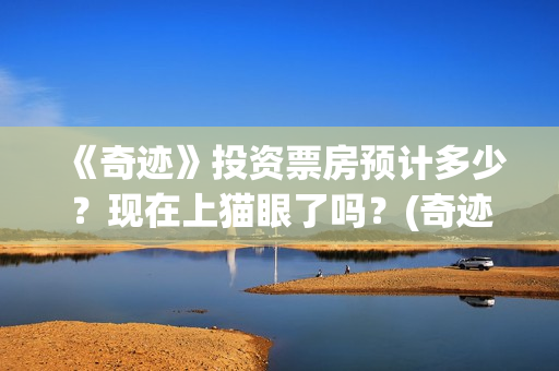《奇迹》投资票房预计多少？现在上猫眼了吗？(奇迹资本)