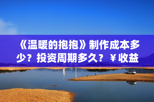《温暖的抱抱》制作成本多少？投资周期多久？￥收益空间大吗？(温暖的抱抱在线观看完整版高清免费)