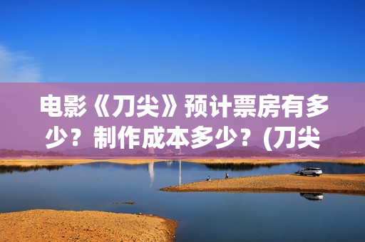 电影《刀尖》预计票房有多少？制作成本多少？(刀尖这部电影哪年拍的)