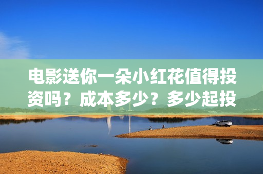 电影送你一朵小红花值得投资吗？成本多少？多少起投？ (电影送你一朵小红花讲述的主题是抗癌吗)