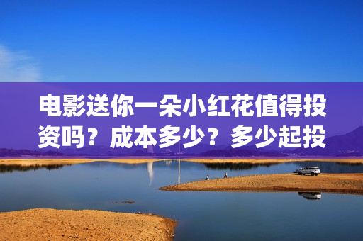 电影送你一朵小红花值得投资吗？成本多少？多少起投？ (电影送你一朵小红花主题曲)
