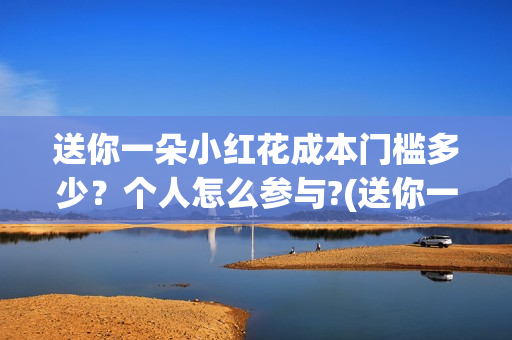 送你一朵小红花成本门槛多少？个人怎么参与?(送你一朵小红花电影免费观看)