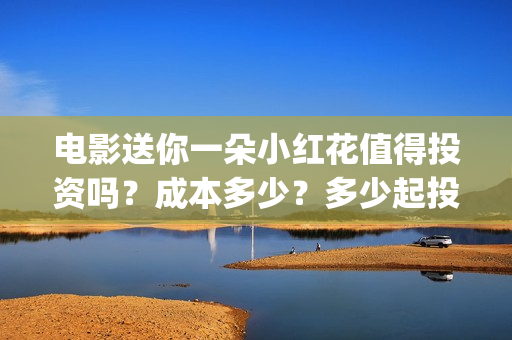 电影送你一朵小红花值得投资吗？成本多少？多少起投？(电影送你一朵小红花的英文)