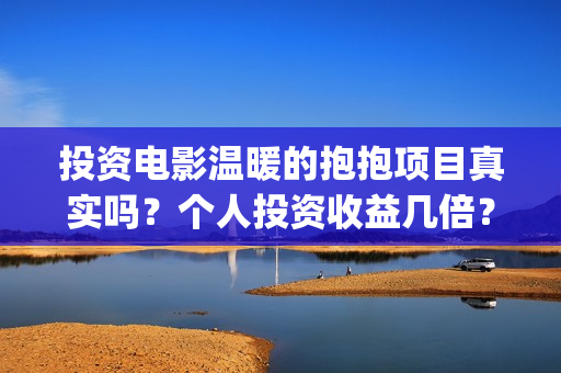 投资电影温暖的抱抱项目真实吗？个人投资收益几倍？票房分红怎么计算？ (温暖电影台词)