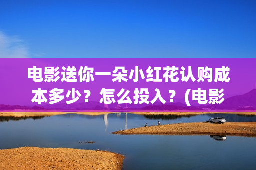 电影送你一朵小红花认购成本多少？怎么投入？(电影送你一朵小红花的英文)