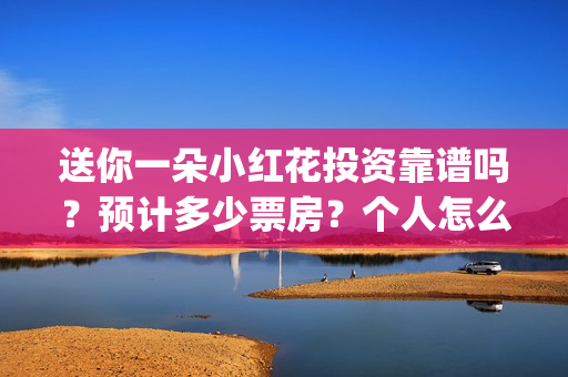 送你一朵小红花投资靠谱吗？预计多少票房？个人怎么参与？(送你一朵小红花简谱)