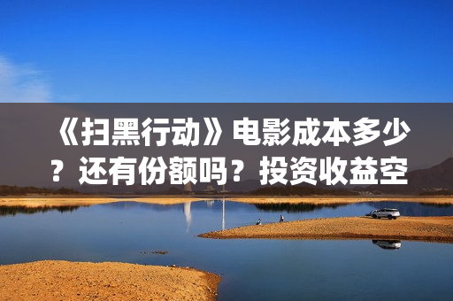 《扫黑行动》电影成本多少？还有份额吗？投资收益空间大吗？(《扫黑行动》电视剧)