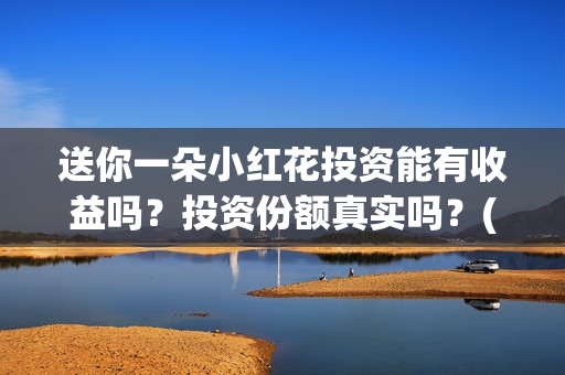 送你一朵小红花投资能有收益吗？投资份额真实吗？(送你一朵小红花歌词)