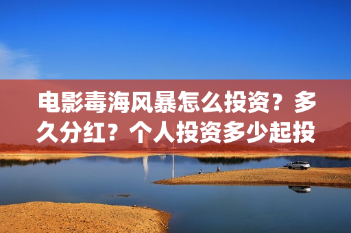 电影毒海风暴怎么投资？多久分红？个人投资多少起投？(毒海风暴有哪几家拍摄)